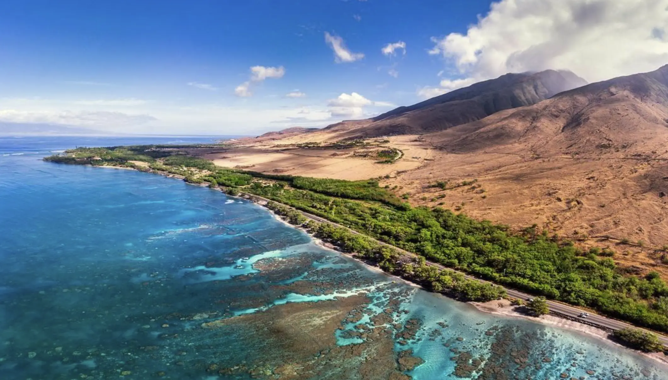 best beaches in Maui