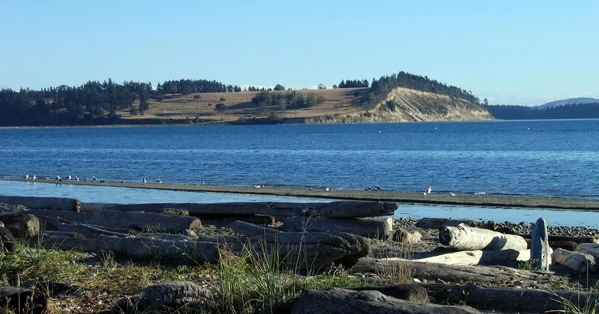 Things To Do at Island View Beach Regional Park